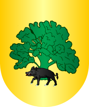 ESCUDO ALEATORIO